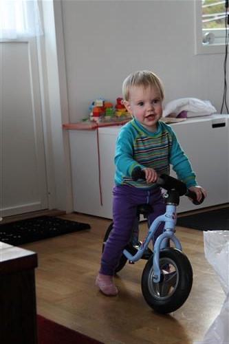 Sykling 1. nyttårsdag